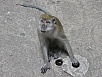 PB011171.jpg