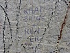 PB011175.jpg