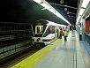PB011219.jpg