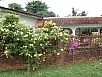 PB021270.jpg