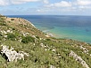 P6100136.jpg