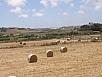 P6100171.jpg