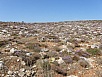 P6110449.jpg