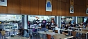IMG_20241101_134206.jpg
