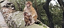 IMG_20241102_152454.jpg