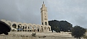 IMG_20241103_180231.jpg