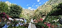 IMG_20241104_130204.jpg