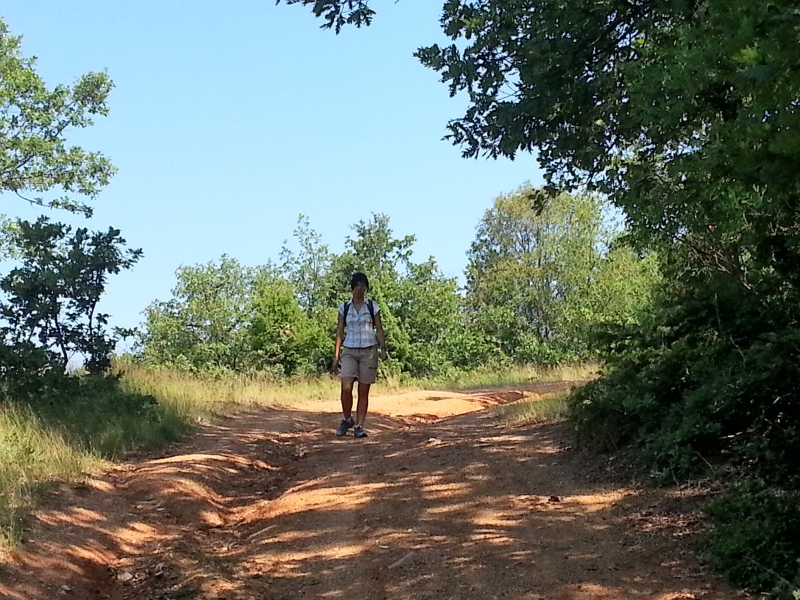 20150711_100406.jpg