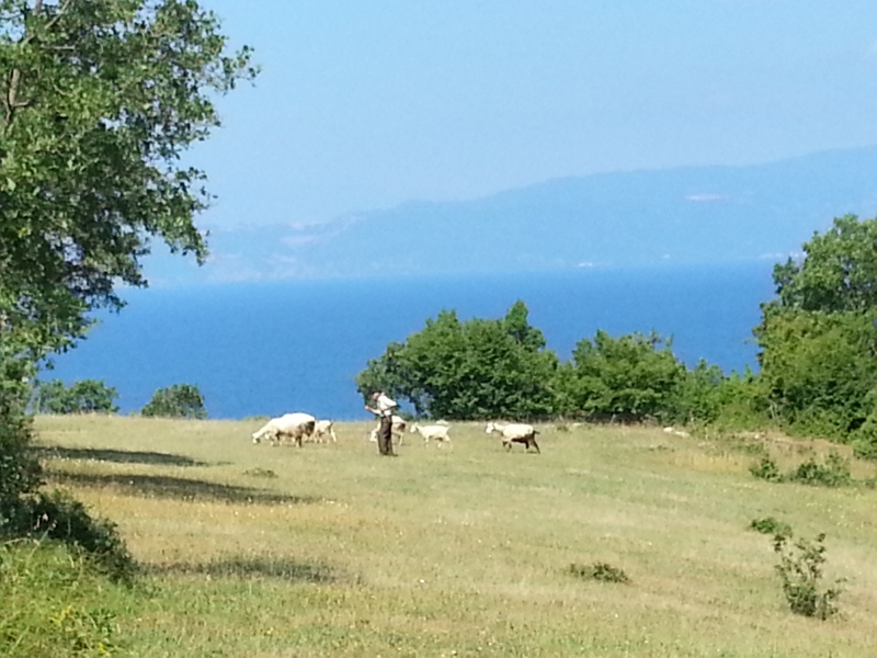 20150711_100547.jpg