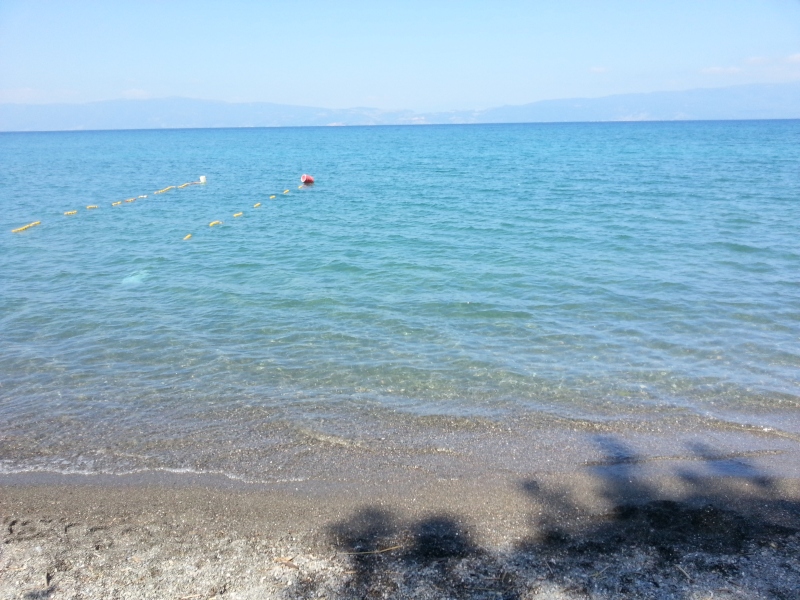 20150711_103039.jpg