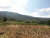 20150711_095746.jpg