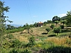 20150711_100120.jpg