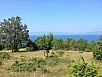 20150711_100313.jpg