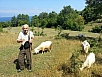 20150711_100753.jpg