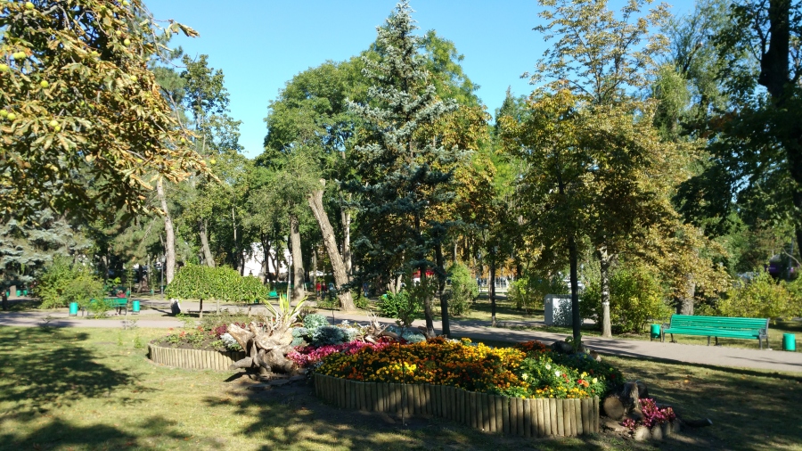 20170915_095815.jpg