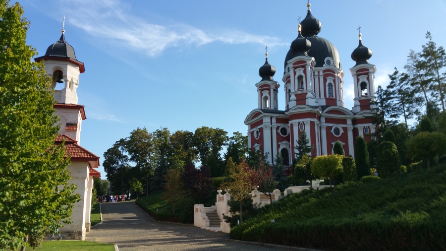 20170915_163644.jpg