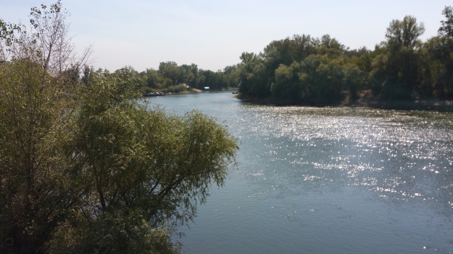 20170916_131225.jpg