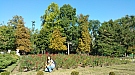20170915_094207.jpg