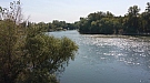 20170916_131225.jpg