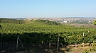 20170917_100001.jpg