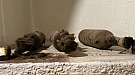 20170917_112253.jpg