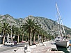 P8050224.jpg