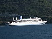 P8050237.jpg