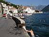 P8050244.jpg