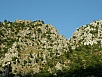 P8050269.jpg