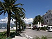 P8070566.jpg