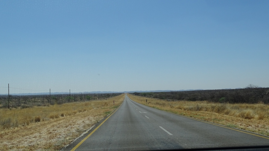 DSC04489.jpg