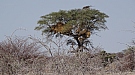 DSC04564.jpg