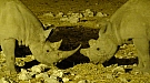DSC04666.jpg