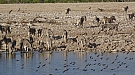 DSC04706.jpg