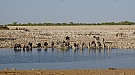 DSC04707.jpg