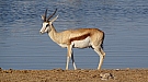 DSC04709.jpg