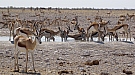 DSC04736.jpg