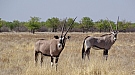 DSC04747.jpg