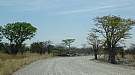 DSC04753.jpg