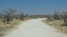 DSC04759.jpg