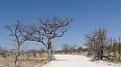 DSC04775.jpg
