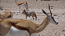 DSC04794.jpg