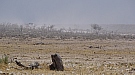 DSC04798.jpg