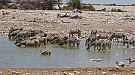DSC04808~01.jpg