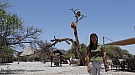 DSC04813.jpg