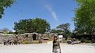 DSC04832.jpg