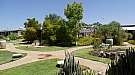 DSC04833.jpg