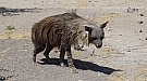 DSC04855.jpg