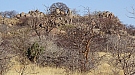 DSC04893.jpg