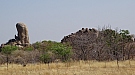 DSC04981.jpg